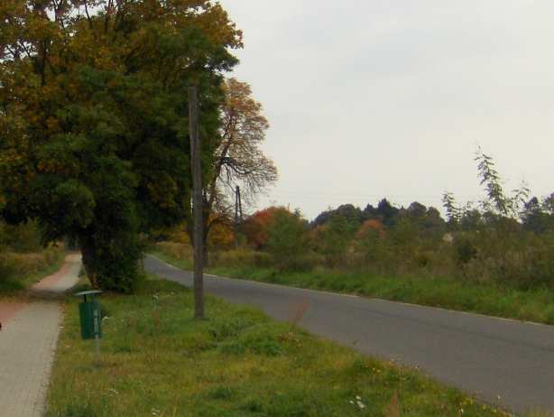 droga do parku pałacowego w Trzciance